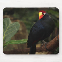 Exotische Vogel Mousepad Muis Matten