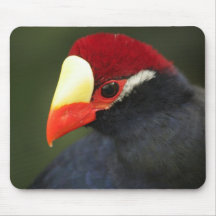 Exotische Vogel Mousepad Muismatten