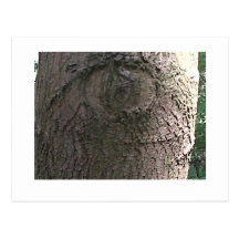 Eyed tree card carte postale