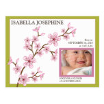 Faire-part de naissance de bébé de fleurs de ceris carte postale