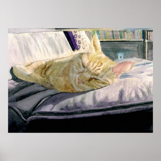 Faire une sieste au soleil poster