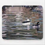 Faites et bufflehead femelle tapis de souris