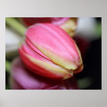 False Reflection Print