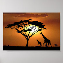 famille de girafe posters