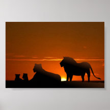 famille de lion affiche