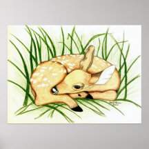 Faon au repos affiches