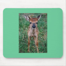Faon Mousepad Tapis De Souris