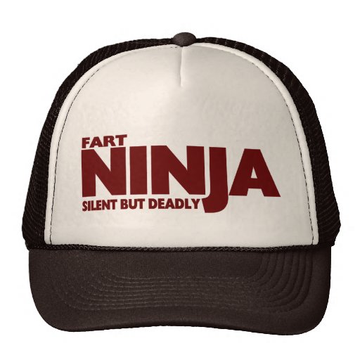 FART NINJA…. STIL MAAR DOODS TRUCKER PET