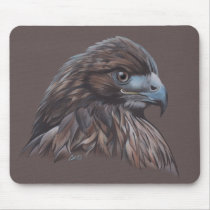 Faucon dans le crayon coloré