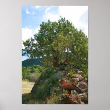 Faucon et arbre affiches