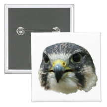 Faucon pérégrin badge avec épingle