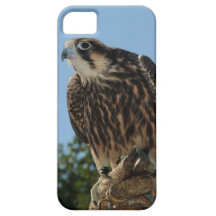 Faucon pérégrin coques iPhone 5 Case-Mate