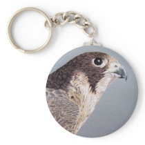 Faucon pérégrin Keychain