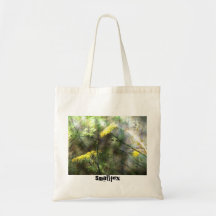 Fenouil Sacs