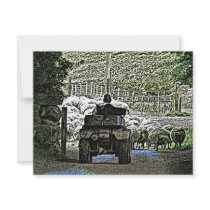 FERME DE MOUTONS