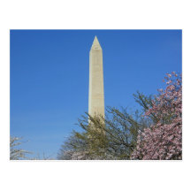 Festival de fleurs de cerisier de monument de Wash Cartes Postales