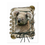 Fête des pères - pattes en pierre - koala carte postale