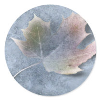 Feuille congelée sur la glace