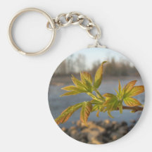 Feuille d'aîné de boîte dans la lumière d'aube porte-clef
