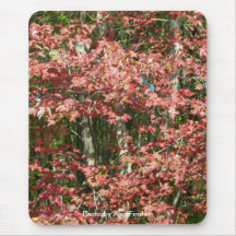 Feuille de chute - Boston, le Massachusetts Tapis De Souris