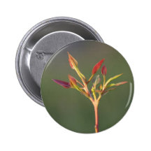Feuille de gomme badges avec agrafe