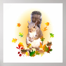 Feuille d'écureuil et d'automne posters