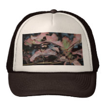 Feuille naturel - casquette