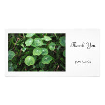 Feuille vert cartes de vœux avec photo
