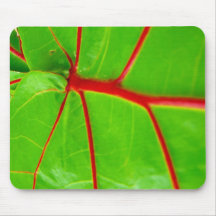 Feuille verte avec les veines rouges tapis de souris