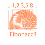 Fibonacci! T Shirt