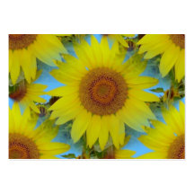 Field of sunflower - Champ de tournesol (02) Cartes De Visite Personnelles