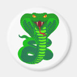 File d'attente Kobra snake cobra Magnets Pour Réfrigérateur