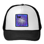 Fils de Wakeboard Whirly Casquettes