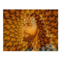 Fils du Sun Carte Postale
