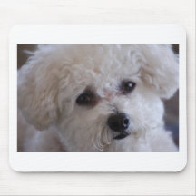 Fin de Bichon Tapis De Souris