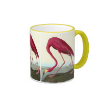 Flamant américain, John James Audubon Tasse