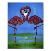 Flamants Photos D’art