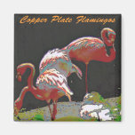 Flamants de plat de cuivre aimant