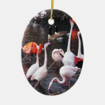 Flamants : Regardez-moi ! Décorations De Noël