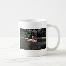 Flamants roses dans l'étang, St Petersburg, la Flo Mug