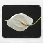 Fleur blanche tapis de souris