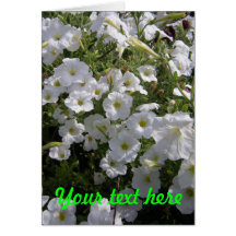 Fleur Carte De Vœux