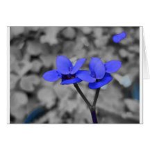 Fleur Cartes