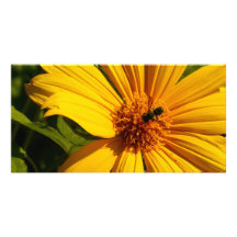 Fleur d'abeille photocarte personnalisée