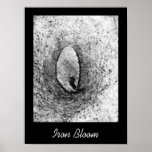 Fleur de fer posters