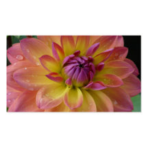 Fleur de fleur de dahlia cartes de visite personnelles
