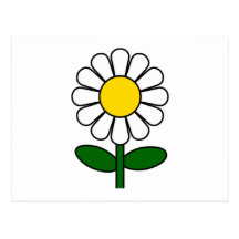 Fleur de marguerite cartes postales