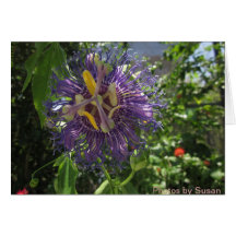 Fleur de passion carte de vœux