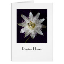 Fleur de passion cartes de vœux