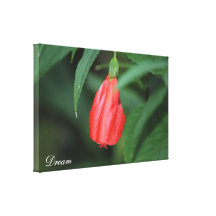 Fleur de photo toiles tendues sur châssis